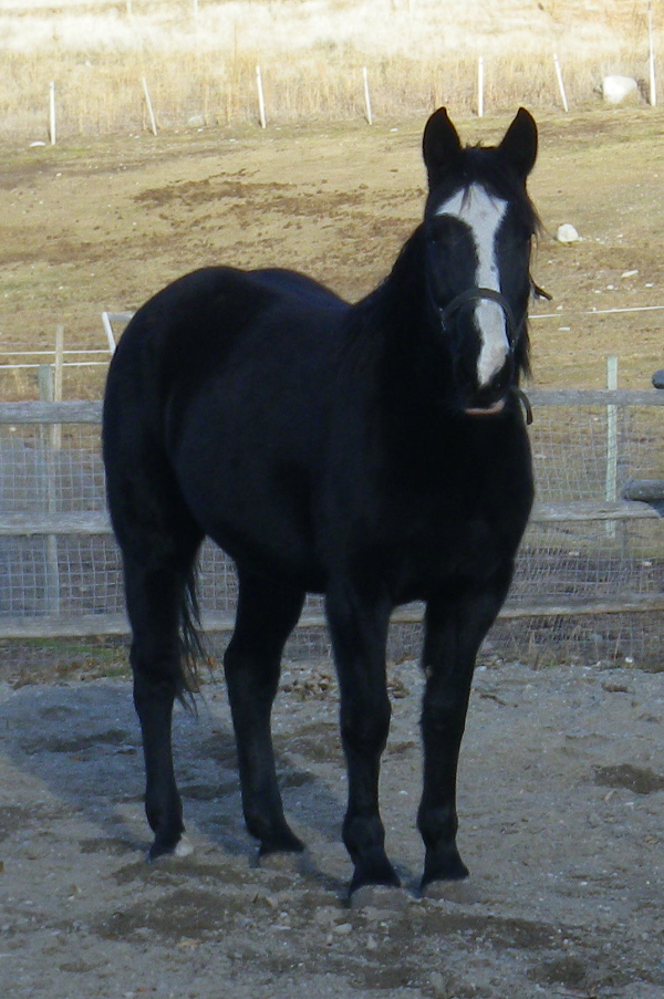 Lacey dec2011 front.jpg